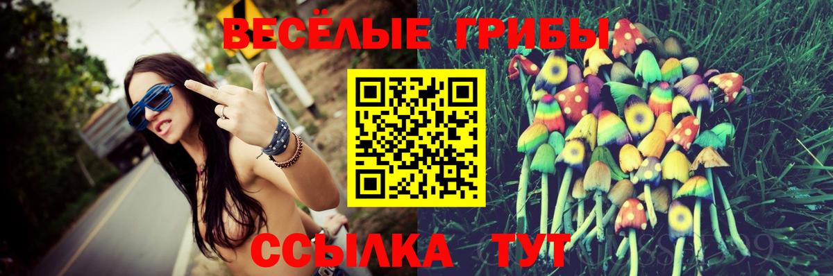Псилоцибиновые грибы Psilocybine cubensis  Галлюциногенные грибы Cubensis  Ахтубинск  где найти   Вход с VPN 